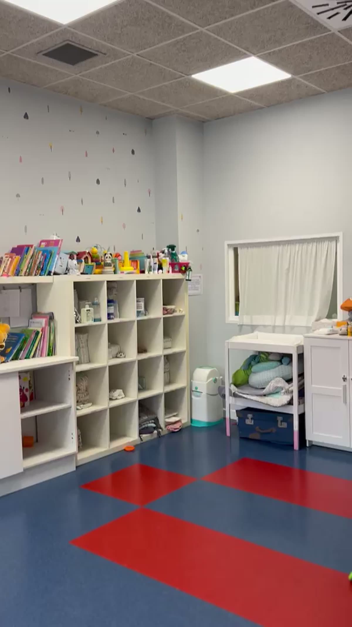 Estantería con libros y alfombra